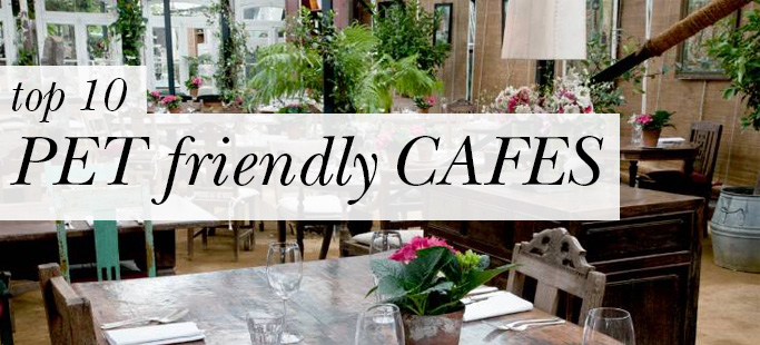 Top 10 Pet-Friendly Cafés