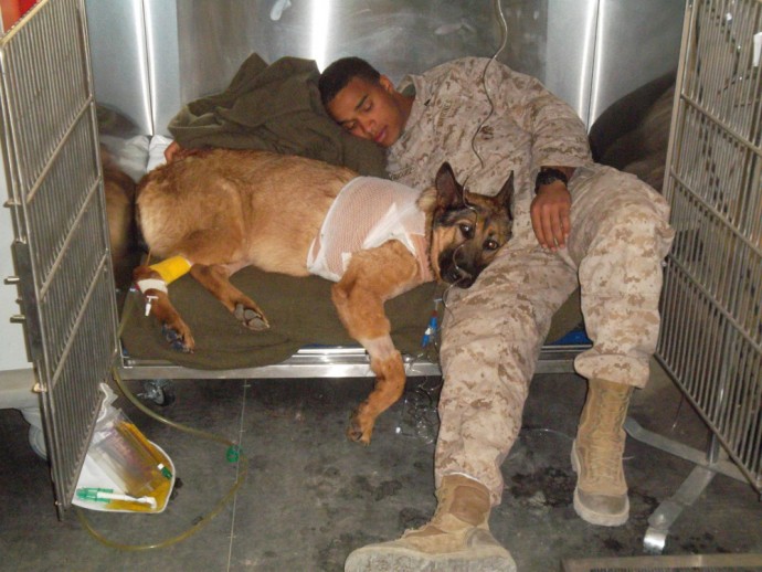 Cpl Rodriguez stayed with Lucca throughout her recovery