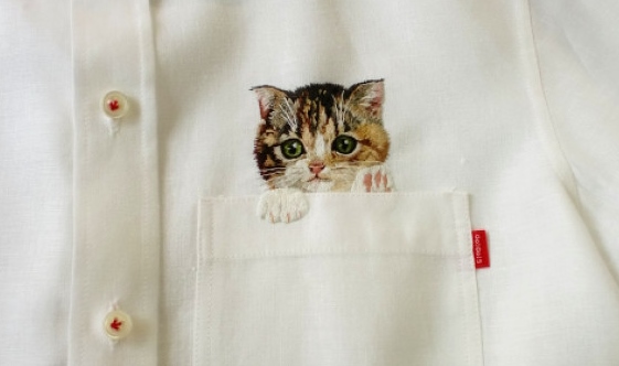 There’s a kitten in your pocket!