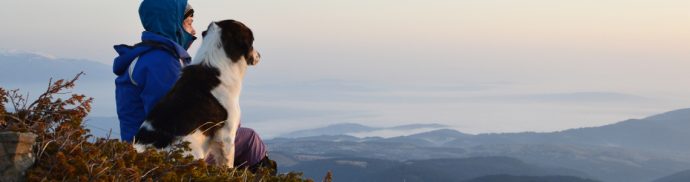 Tips for hiking with your dog