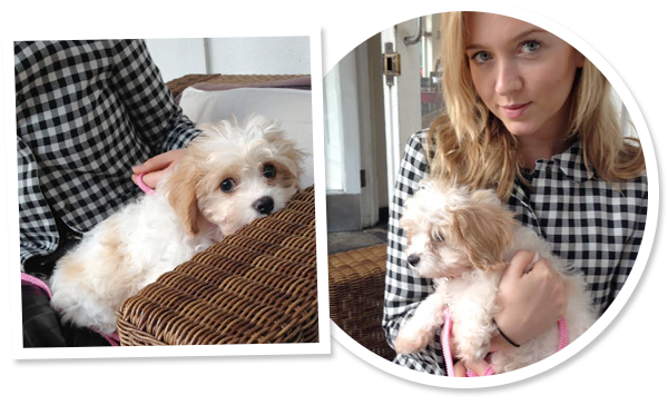 New Pup on the Block: Lulu’s top 10 must-haves