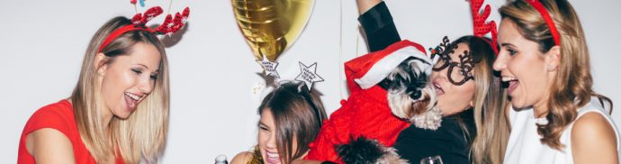 Tips for a safe & healthy Christmas with your pet
