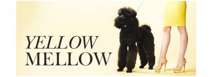 Trend Alert! Yellow Mellow