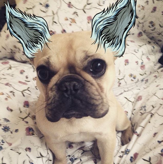 The Many Faces of Miss Peggy