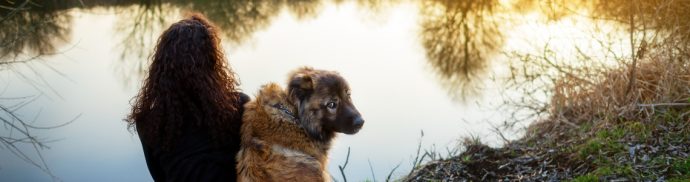 Top 10 Dog-Friendly Autumn Weekend Breaks