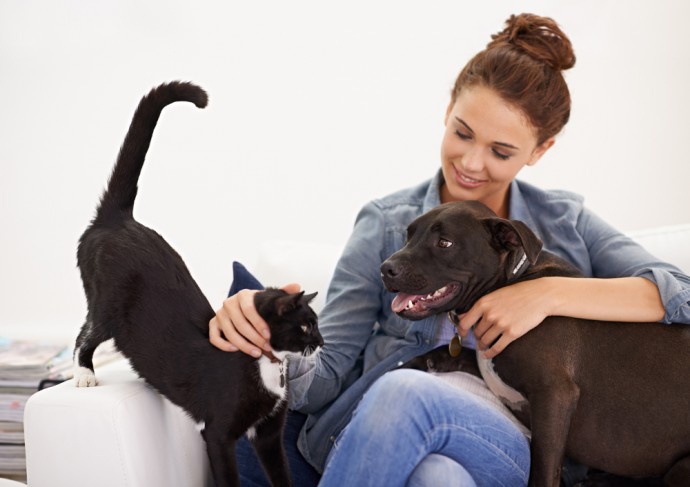 Dogs love you five times more than cats
