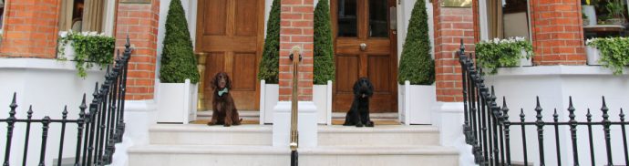 Severus and Lily enjoy afternoon tea at Egerton House Hotel