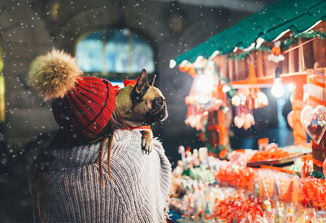 Fido-Friendly Christmas and New Year Packages 2020