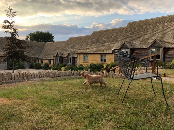 The Pet Inspectors Take a Trip to The Cotswolds