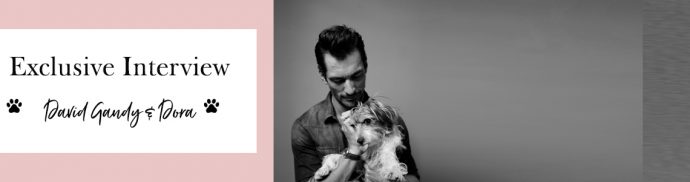 Exclusive Interview: David Gandy & adorable Dora
