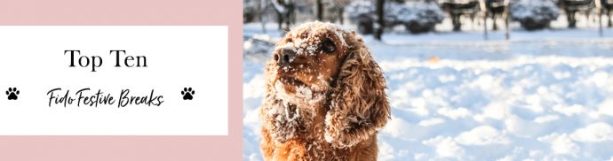 Our top 10 Fido-friendly Festive Breaks 🎄