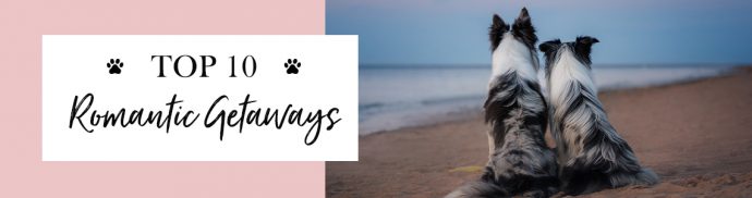 Top 10 Romantic Dog-friendly Getaways 💕
