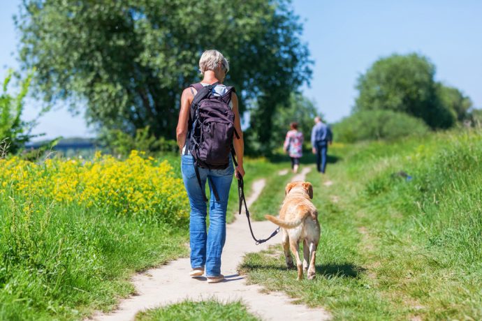 The Best London Dog Walks This Summer