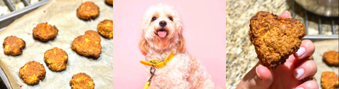 Barking Bake Off: Camilla Elphick’s Canine Cookies