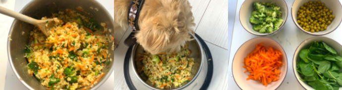 Barking Bake Off: Nikki Tibbles’ Doggie’s Dinner