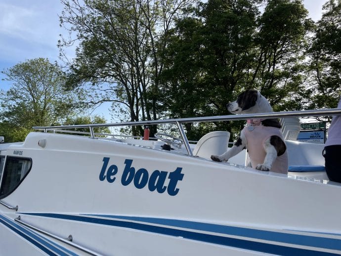 Guest Pet Inspectors: Doggy Boat Trip Along The Thames 🔍🛶