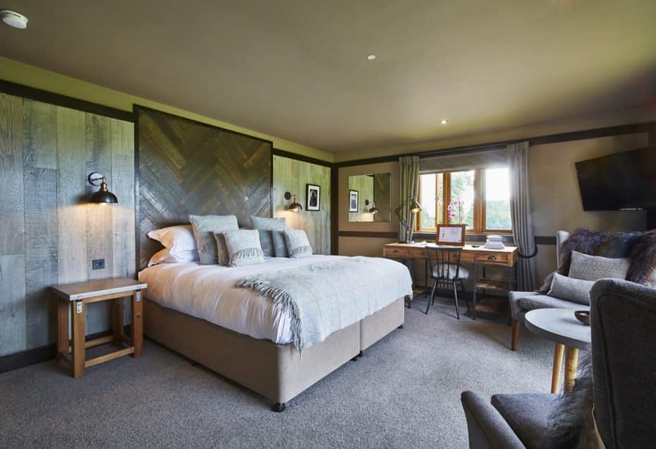 jack russell hotel in hampshire