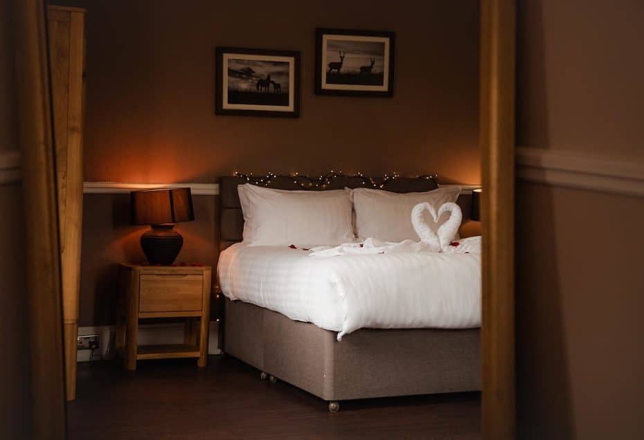 dog-friendly the mortimer arms