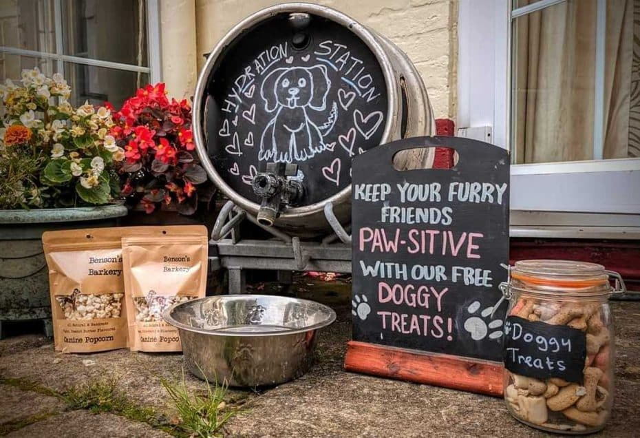 dog-friendly the mortimer arms