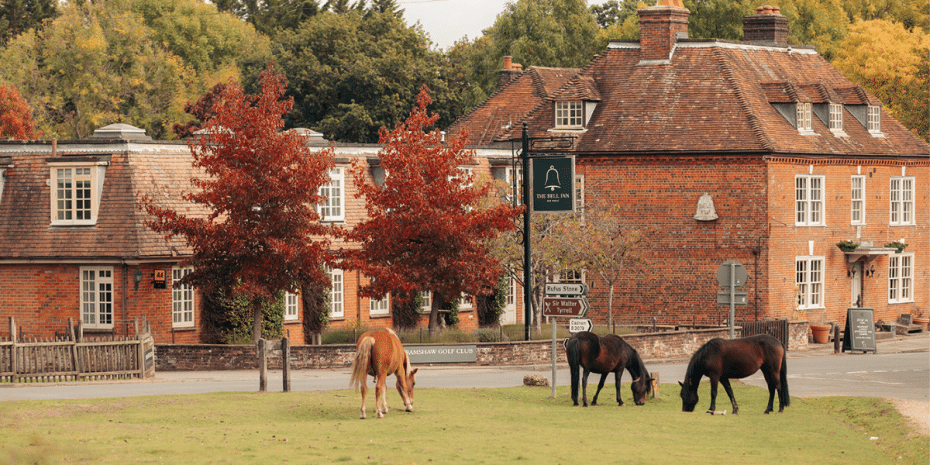 dog-friendly the bell inn