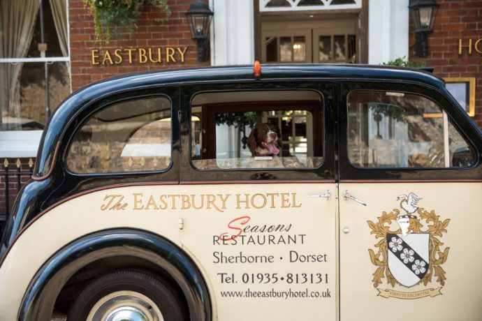 Top 10 Dog-friendly Hotels in Dorset