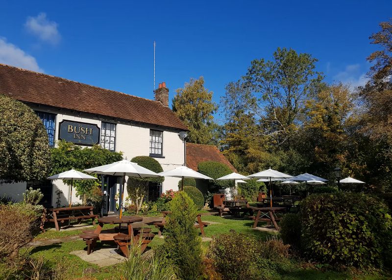 pubs for dogs