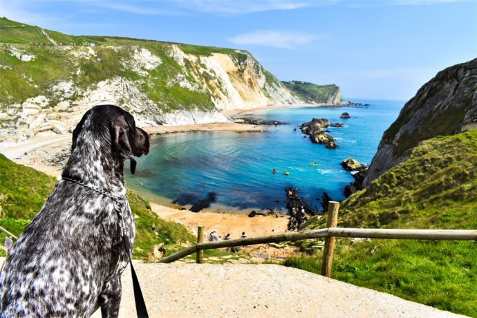 Top 10 Dog-friendly Beaches in Dorset
