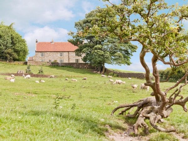 Petspyjamas-dog-friendly-travel-warren-farmhouse