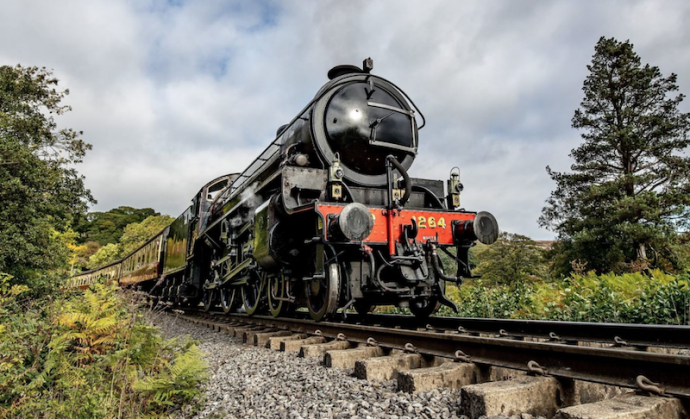 petspyjamas-dog-friendly-travel-north-york-moors-railway-01