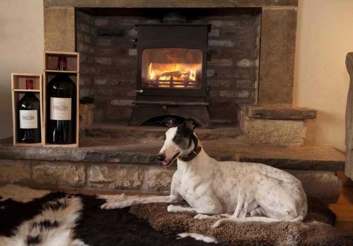 dog-friendly-travel-places-to-eat-yorkshire