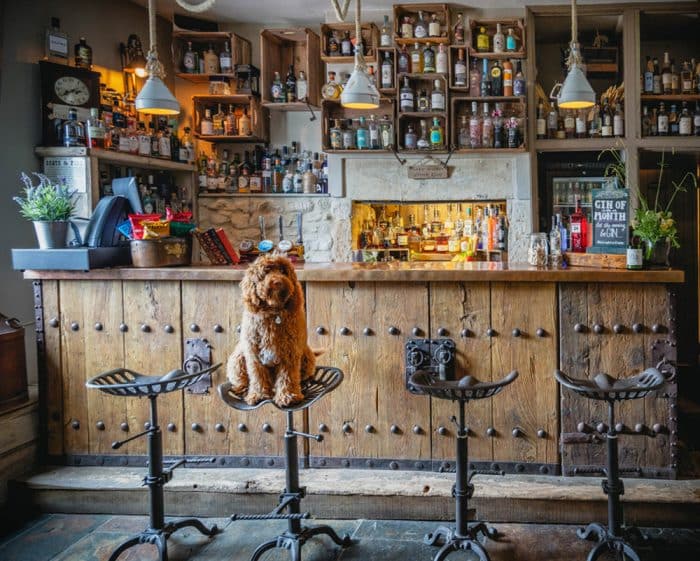 petspyjamas-dog-friendly-travel-hotel-widbrook-grange-dining