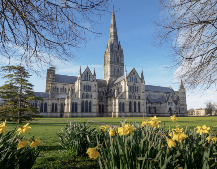 petspyjamas-dog-friendly-travel-salisbury-cathedral