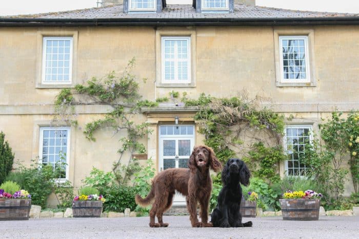 petspyjamas-dog-friendly-travel-widbrook-grange