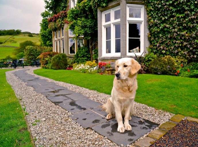 Top 10 Dog-Friendly Hotels in the Lake District