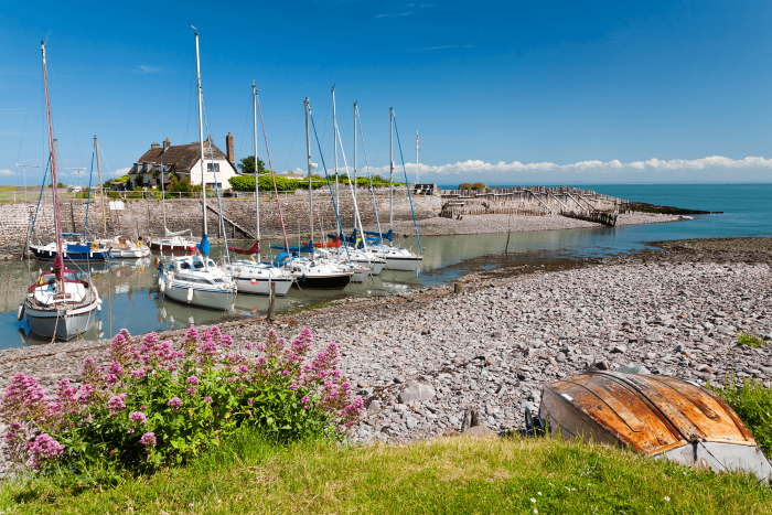 petspyjamas-dog-friendly-travel-porlock