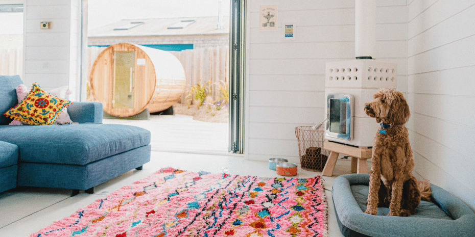 dog-friendly three mile beach cottage