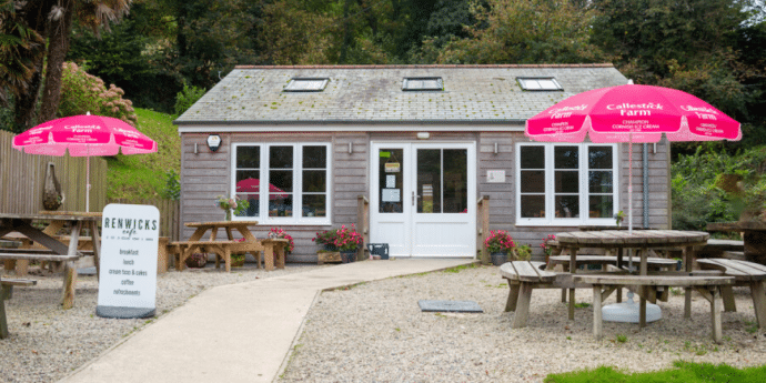 dog-friendly cafe