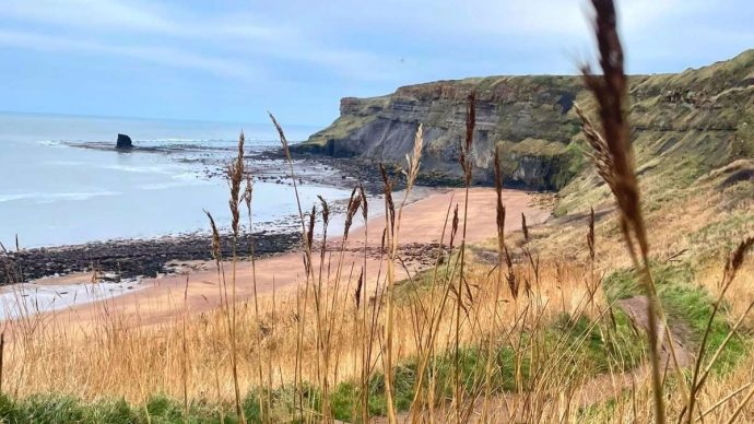 The 10 Best Year-Round Dog-Friendly Beaches in the UK