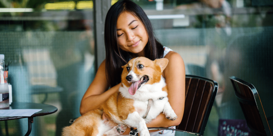 dog-friendly restaurant