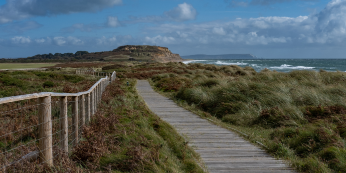 Top 10 of our favourite dog-friendly attractions in Dorset