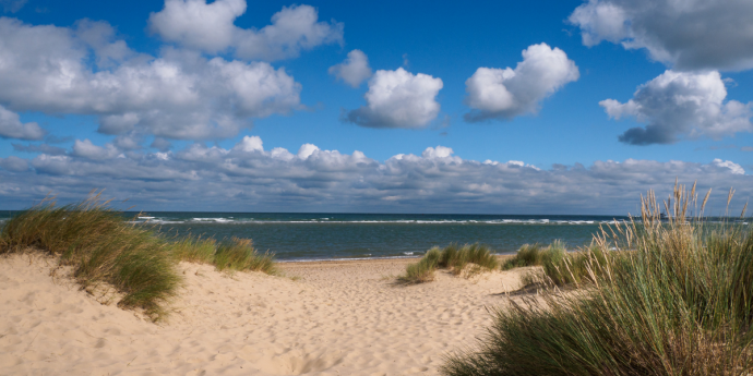 Winter Wonderwalks: The Best Winter Beach Walks with Your Dog