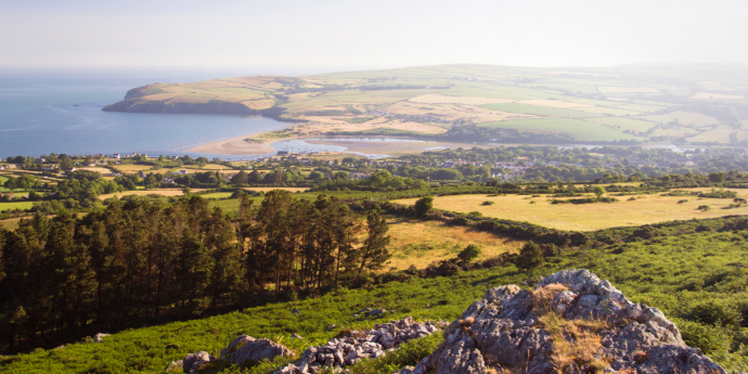 Top 10 Dog-Friendly Things To Do In Wales