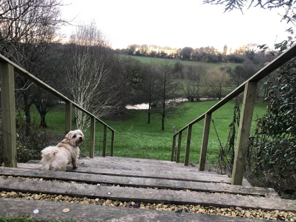 Kiki’s Yearly Round-Up of Fun-Filled Adventures
