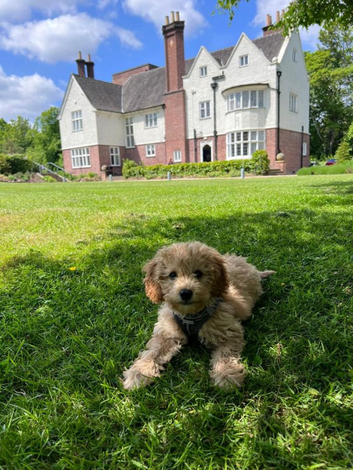 An Interview with Edgbaston Park Hotel, Birmingham