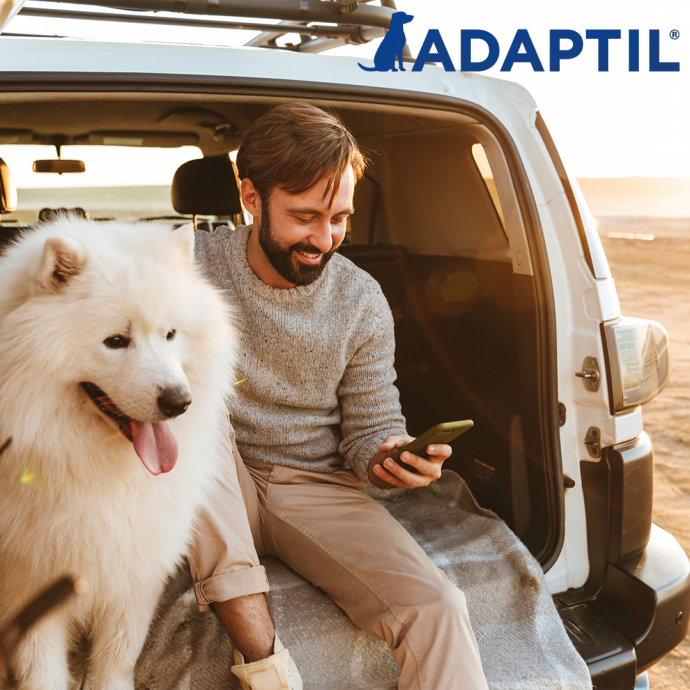 Travel Happy With Your Dog: Top Tips & Advice