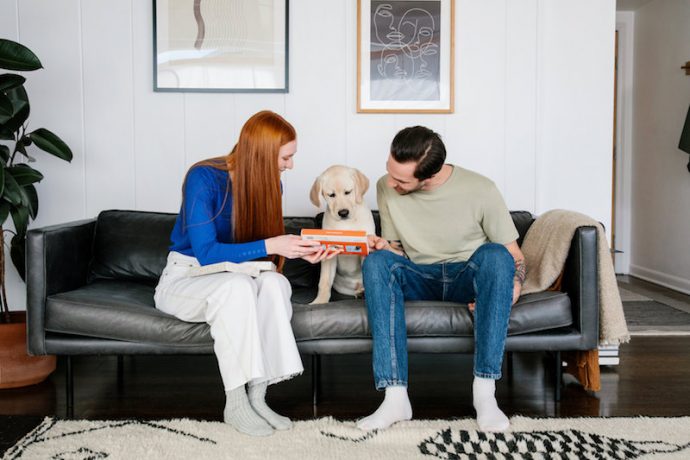 The Rise in Pet DNA Tests and Their Lifelong Benefits 