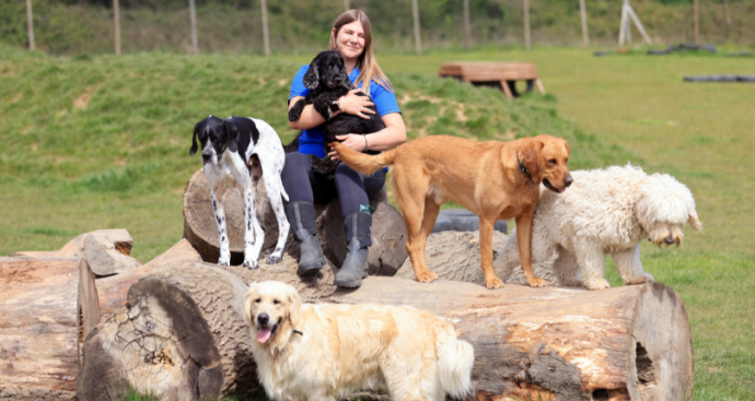 Bruces Doggy Day Care