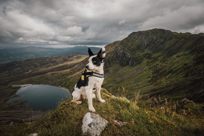 The Giant Welsh Mountain Adventure