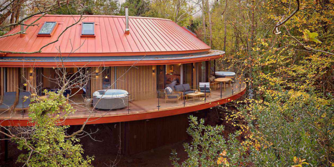 Dog-Friendly Treehouses