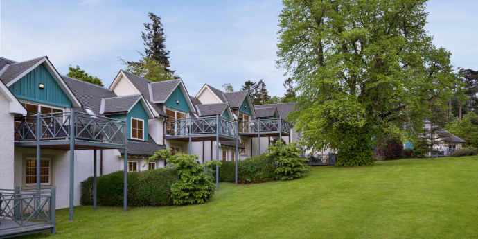 Dog-Friendly Hotels